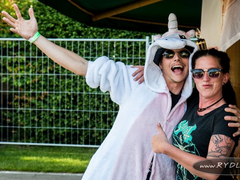 2017 06 10 Im Gruenen Festival Rydle net IMG 8843