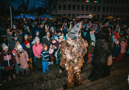 2025 11 22 Anschoeringer Weihnachtszauber DSC09889 Dominik Riedel Fotografie