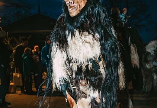 2025 11 22 Anschoeringer Weihnachtszauber DSC09939 Dominik Riedel Fotografie