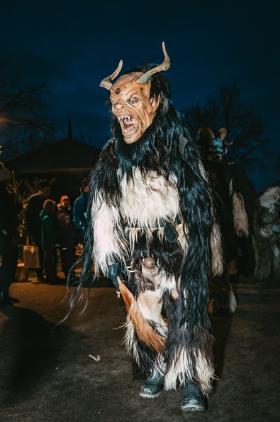 2025 11 22 Anschoeringer Weihnachtszauber DSC09939 Dominik Riedel Fotografie