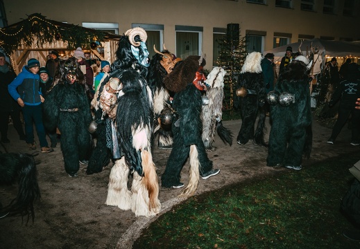 2025 11 22 Anschoeringer Weihnachtszauber DSC09950 Dominik Riedel Fotografie